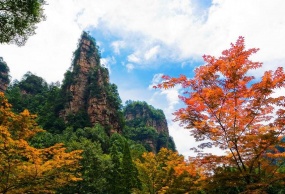 桃花源+凤凰+张家界天门山玻璃栈道+张家界大峡谷双飞四日豪华包机游